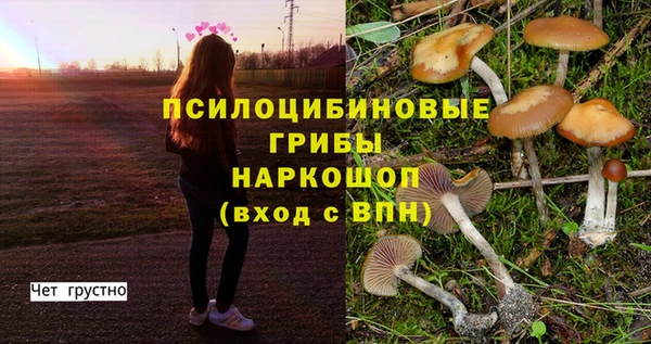 героин Алзамай