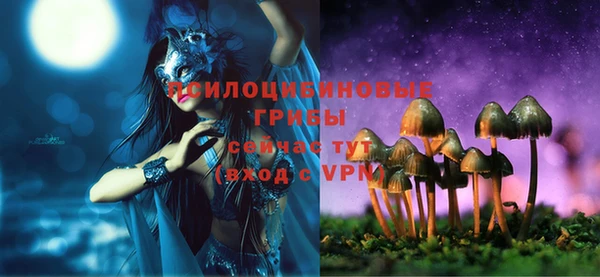 героин Алзамай