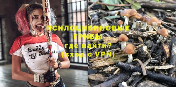 PSILOCYBIN Алексин